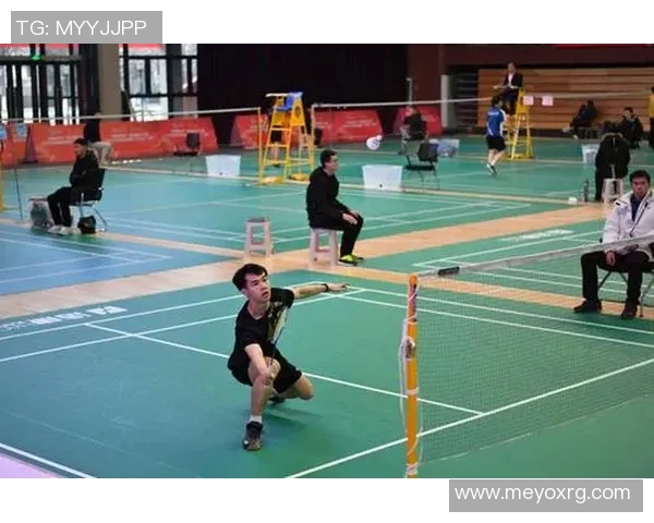 武汉羽毛球队在欧锦赛中的战术分析与表现评估 武汉羽毛球队在欧锦赛中的战术分析与表现评估