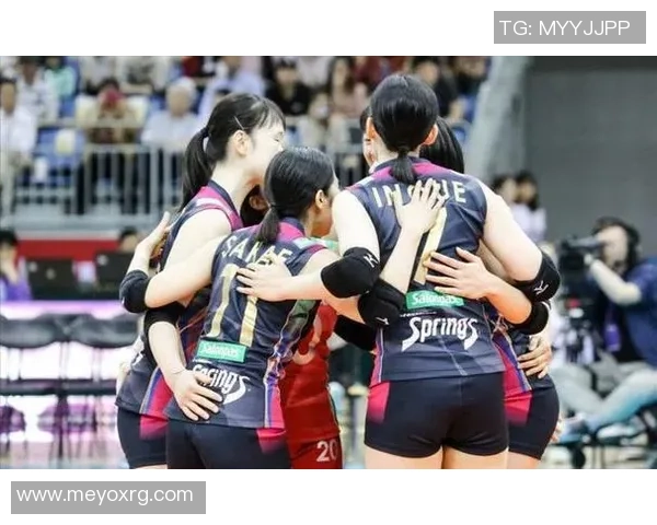 排球战术：上海排球队的防反体系